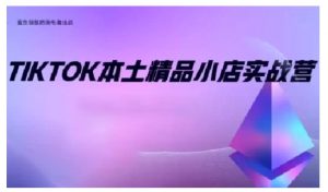 TikTok本土精品小店出海实战营,从入门到高阶,不止0-1!互联网行业-互联网创业-创业网-知识创造价值 新生无限可能网创星球