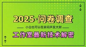 2025问卷调查最新工作室技术解密：一个人在家也可以闷声发大财，小白一天2张，可矩阵放大【揭秘】互联网行业-互联网创业-创业网-知识创造价值 新生无限可能网创星球