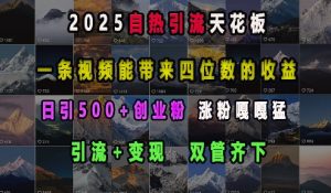 2025自热引流天花板,一条视频能带来四位数的收益,引流+变现双管齐下,日引500+创业粉,涨粉嘎嘎猛互联网行业-互联网创业-创业网-知识创造价值 新生无限可能网创星球