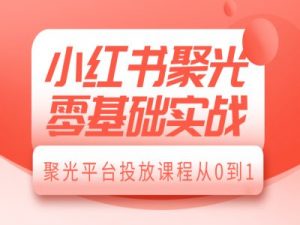 小红书聚光零基础实战，聚光平台投放课程从0到1互联网行业-互联网创业-创业网-知识创造价值 新生无限可能网创星球