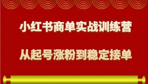 小红书商单实战训练营，从0到1教你如何变现，从起号涨粉到稳定接单，适合新手互联网行业-互联网创业-创业网-知识创造价值 新生无限可能网创星球