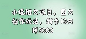 小说推文项目，图文创作玩法，新手10天挣3000互联网行业-互联网创业-创业网-知识创造价值 新生无限可能网创星球