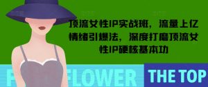 顶流女性IP实战班，流量上亿情绪引爆法，深度打磨顶流女性IP硬核基本功互联网行业-互联网创业-创业网-知识创造价值 新生无限可能网创星球