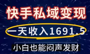 一天收入1691.5，快手私域变现，小白也能闷声发财互联网行业-互联网创业-创业网-知识创造价值 新生无限可能网创星球