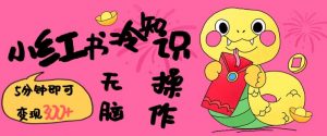 小红书冷知识账号，无脑复制粘贴，5分钟即可变现3张互联网行业-互联网创业-创业网-知识创造价值 新生无限可能网创星球