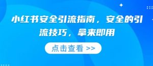 小红书安全引流指南，安全的引流技巧，拿来即用互联网行业-互联网创业-创业网-知识创造价值 新生无限可能网创星球