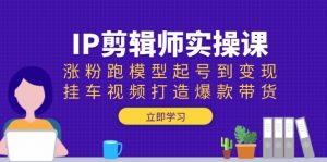 IP剪辑师实操课：涨粉跑模型起号到变现，挂车视频打造爆款带货互联网行业-互联网创业-创业网-知识创造价值 新生无限可能网创星球