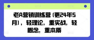 老A营销训练营(更25年1月)，轻理论，重实战，轻概念，重本质互联网行业-互联网创业-创业网-知识创造价值 新生无限可能网创星球