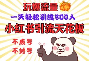 小红书引流天花板，玩爆流量，一天轻松引流300人，安全操作互联网行业-互联网创业-创业网-知识创造价值 新生无限可能网创星球