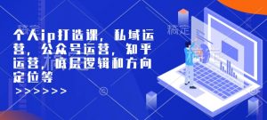 个人ip打造课，私域运营，公众号运营，知乎运营，底层逻辑和方向定位等互联网行业-互联网创业-创业网-知识创造价值 新生无限可能网创星球