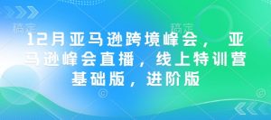 12月亚马逊跨境峰会， 亚马逊峰会直播，线上特训营基础版，进阶版互联网行业-互联网创业-创业网-知识创造价值 新生无限可能网创星球