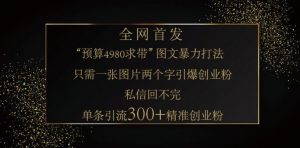 小红书神奇图片引流法，只需一张图，就能单条笔记凭借此方法，轻松引流 300 + 精准创业粉互联网行业-互联网创业-创业网-知识创造价值 新生无限可能网创星球