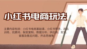 小红书电商玩法：带货/选品/找素材/裂变/数据分析/供应商/发货/售后/开店思维等互联网行业-互联网创业-创业网-知识创造价值 新生无限可能网创星球