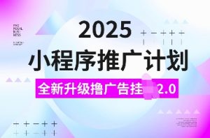 2025小程序推广计划，全新升级撸广告挂JI2.0玩法，日入多张，小白可做【揭秘】互联网行业-互联网创业-创业网-知识创造价值 新生无限可能网创星球
