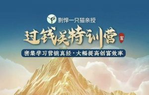 剽悍一只猫-过钱关特训营，学习营销真经 大幅度提高创富效率互联网行业-互联网创业-创业网-知识创造价值 新生无限可能网创星球