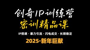 2025年“知识付费IP训练营”小白避坑年赚百万，暴力引流，闪电成交互联网行业-互联网创业-创业网-知识创造价值 新生无限可能网创星球