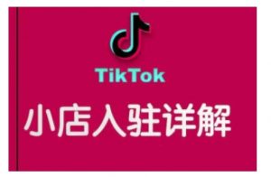 TikTok跨境小店运营全攻略，帮助你独立运营TK跨境小店的能力，实现销量增长互联网行业-互联网创业-创业网-知识创造价值 新生无限可能网创星球