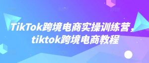 TikTok跨境电商实操训练营，tiktok跨境电商教程互联网行业-互联网创业-创业网-知识创造价值 新生无限可能网创星球