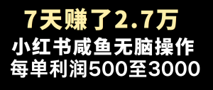 全网首发，7天赚了2.6万，2025利润超级高！互联网行业-互联网创业-创业网-知识创造价值 新生无限可能网创星球