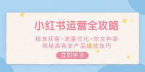 小红书运营全攻略，精准获客+流量优化+软文种草，揭秘高客单产品投放技巧互联网行业-互联网创业-创业网-知识创造价值 新生无限可能网创星球