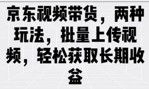 京东视频带货，两种玩法，批量上传视频，轻松获取长期收益互联网行业-互联网创业-创业网-知识创造价值 新生无限可能网创星球
