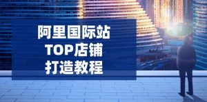 阿里国际站TOP店铺打造教程：涵盖平台到高阶，解决运营难题，提升询盘互联网行业-互联网创业-创业网-知识创造价值 新生无限可能网创星球