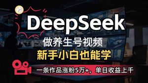 小白用DeepSeek做养生号，一条作品涨粉5万+，单日收益上千互联网行业-互联网创业-创业网-知识创造价值 新生无限可能网创星球