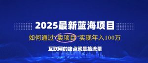 2025最新蓝海项目，零门槛轻松复制，月入10万+，新手也能操作！互联网行业-互联网创业-创业网-知识创造价值 新生无限可能网创星球