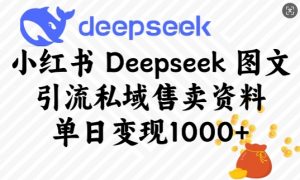 小红书Deepseek图文引流私域售卖资料，单日变现多张互联网行业-互联网创业-创业网-知识创造价值 新生无限可能网创星球