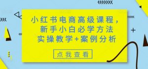 小红书电商高级课程，新手小白必学方法，实操教学+案例分析互联网行业-互联网创业-创业网-知识创造价值 新生无限可能网创星球