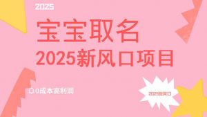 2025新风口项目宝宝取名，0成本高利润，附保姆级教程，月入过万不是梦互联网行业-互联网创业-创业网-知识创造价值 新生无限可能网创星球