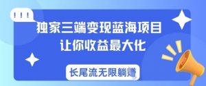独家三端变现蓝海项目，让你收益最大化，长尾流无限躺挣互联网行业-互联网创业-创业网-知识创造价值 新生无限可能网创星球