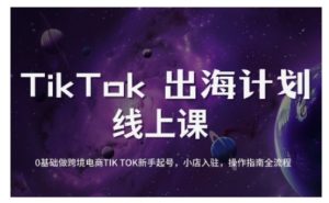 TikTok跨境电商新手起号与运营全攻略,0基础做跨境电商TIKTOK新手起号,小店入驻,操作指南全流程互联网行业-互联网创业-创业网-知识创造价值 新生无限可能网创星球