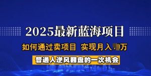 2025蓝海项目，普通人如何通过卖项目，实现月入过W，全过程【揭秘】互联网行业-互联网创业-创业网-知识创造价值 新生无限可能网创星球
