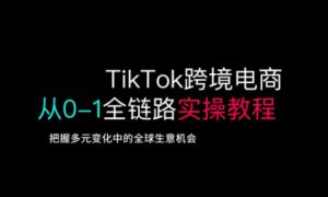 TikTok跨境电商从0-1全链路全方位实操教程，把握多元变化中的全球生意机会互联网行业-互联网创业-创业网-知识创造价值 新生无限可能网创星球