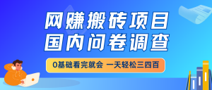 网赚搬砖项目，国内问卷调查，0基础看完就会 一天轻松三四百，靠谱副业...互联网行业-互联网创业-创业网-知识创造价值 新生无限可能网创星球