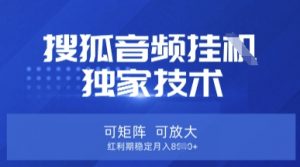 【搜狐音频挂G】独家技术，可矩阵可放大，红利期稳定月入8k【揭秘】互联网行业-互联网创业-创业网-知识创造价值 新生无限可能网创星球