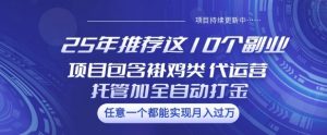 25年推荐这10个副业项目包含褂鸡类、代运营托管类、全自动打金类【揭秘】互联网行业-互联网创业-创业网-知识创造价值 新生无限可能网创星球