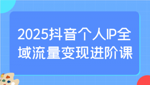 2025抖音个人IP全域流量变现进阶课：选爆品、抖音付费投流、千川投流实操及优化等互联网行业-互联网创业-创业网-知识创造价值 新生无限可能网创星球