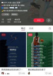 小红书治愈文案图文笔记，零门槛，一分钟制作轻松制作爆款作品月入万元互联网行业-互联网创业-创业网-知识创造价值 新生无限可能网创星球