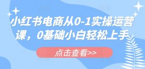 小红书电商从0-1实操运营课，0基础小白轻松上手互联网行业-互联网创业-创业网-知识创造价值 新生无限可能网创星球