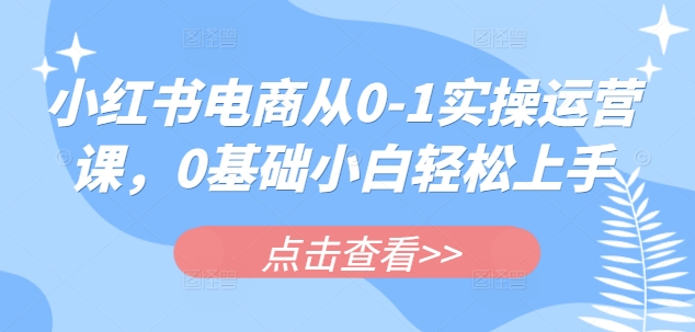 小红书电商从0-1实操运营课,0基础小白轻松上手互联网行业-互联网创业-创业网-知识创造价值 新生无限可能网创星球