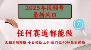 2025年视频号新风口，低门槛只需要无脑执行互联网行业-互联网创业-创业网-知识创造价值 新生无限可能网创星球