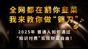 全网都在割你韭菜，我来教你做镰刀,2025普通人如何通过知识付费，实现财F自由【揭秘】互联网行业-互联网创业-创业网-知识创造价值 新生无限可能网创星球