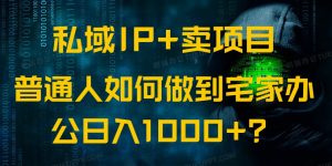 私域IP+卖项目，普通人如何做到宅家办公实现日入1000+互联网行业-互联网创业-创业网-知识创造价值 新生无限可能网创星球