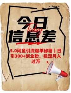 5.0闲鱼引流爆单秘籍，日引300+创业粉，稳定月入过W互联网行业-互联网创业-创业网-知识创造价值 新生无限可能网创星球