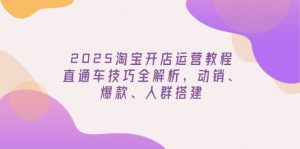 2025淘宝开店运营教程更新，直通车技巧全解析，动销、爆款、人群搭建互联网行业-互联网创业-创业网-知识创造价值 新生无限可能网创星球
