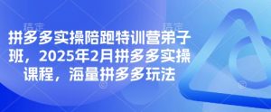 拼多多实操陪跑特训营弟子班，2025年2月拼多多实操课程，海量拼多多玩法互联网行业-互联网创业-创业网-知识创造价值 新生无限可能网创星球