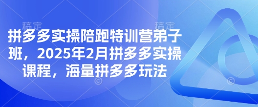 拼多多实操陪跑特训营弟子班,2025年2月拼多多实操课程,海量拼多多玩法互联网行业-互联网创业-创业网-知识创造价值 新生无限可能网创星球
