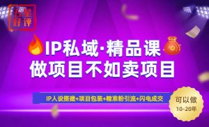 2025年“IP私域·密训精品课”，日赚3000+小白避坑年赚百万，暴力引流...互联网行业-互联网创业-创业网-知识创造价值 新生无限可能网创星球